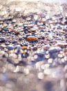 Bokeh shells by Yanuschka | Fotografie Noordwijk thumbnail