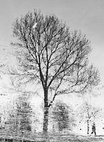 Winter wandeling