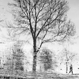 Winter wandeling van Richard van den Hoek