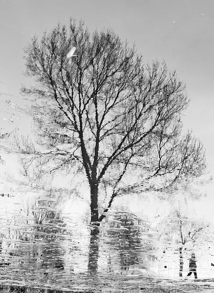 Winter walk by Richard van den Hoek