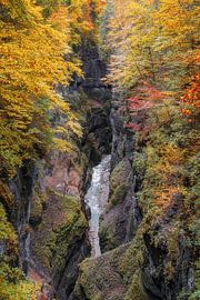 Partnachklamm in Garmisch-Partenkirchen in autumn from the Iron Bridge. by Daniel Pahmeier