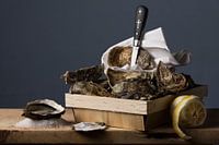 Oesters op Zeezout