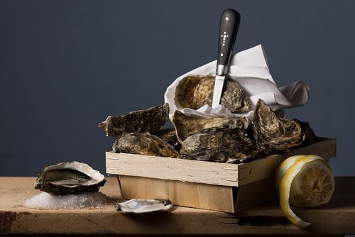 Oysters on seasalt by Igor Sens