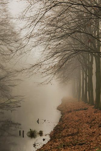 Landgut Middachten, Gemeinde Rheden