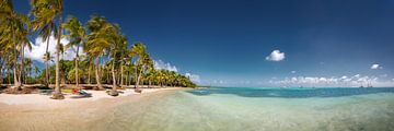Strand op het eiland Guadeloupe in het Caribisch gebied. van Voss Fine Art Fotografie