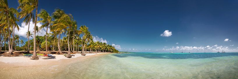 Plage sur l'île de la Guadeloupe dans les Caraïbes. par Voss photographie