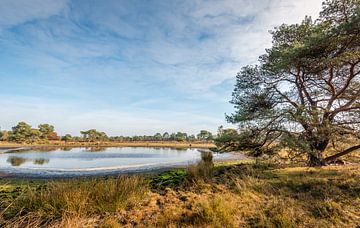 Petit lac dans une réserve naturelle néerlandaise