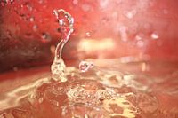SPLASH 3