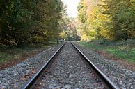 railroad track by ChrisWillemsen thumbnail