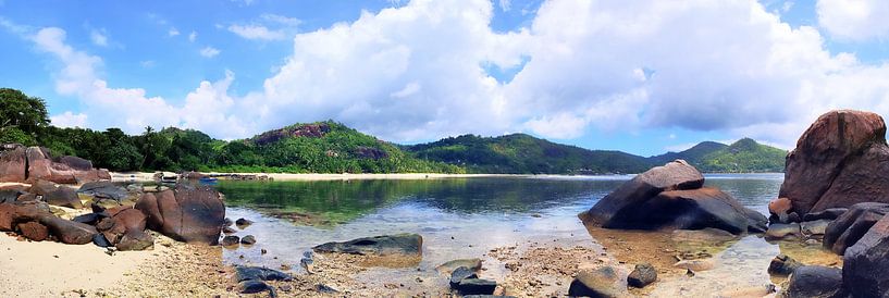 Fantastic beach with palm tree in the Seychelles by MPfoto71