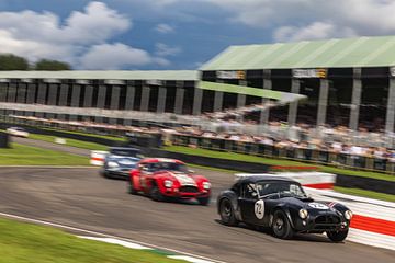 Goodwood Revival, Ac Cobra! by Bob Van der Wolf