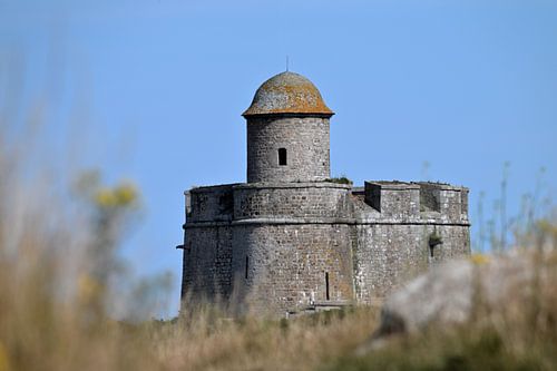 Ile de tatihou
