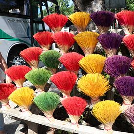 Vietnam brooms by mathieu van wezel