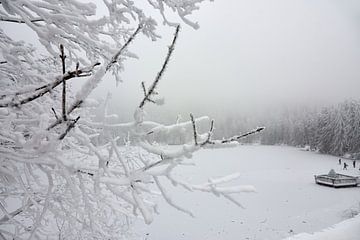 Frozen lake Mummelsee in winter by Thomas Marx