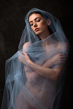 Frau, sexy nackt als Pinup in blauem Netz