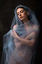 Vrouw, sexy naakt als pinup in blauw net van Atelier Liesjes thumbnail