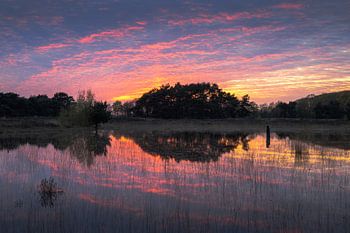 Kleurrijke Zonsondergang Regte Heide