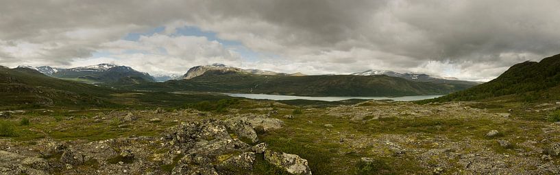 Panoramisch zicht op Jotunheimen, Noorwegen. van Sean Vos