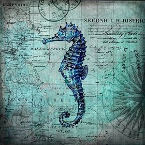 Seahorse Underwater World by Andrea Haase