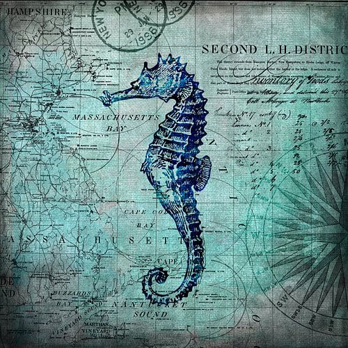 Seahorse Underwater World