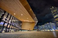 Centraal Station Rotterdam Nederland van Peter Bolman thumbnail