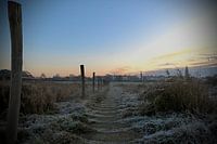 Les plaines inondables de Zutphen en décembre