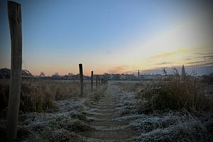 Zutphener Überschwemmungsgebiete im Dezember von Frank Mossink