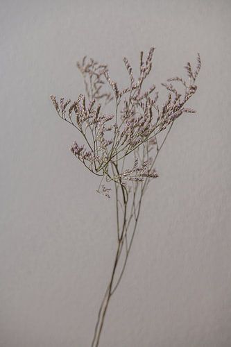 Das Flüstern der Natur