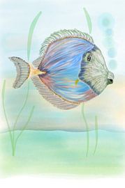 Line drawing artwork VIS in the colours blue and green by Studio Spanjersberg