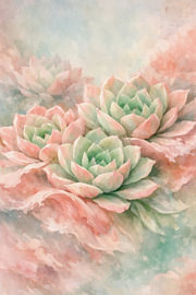 Pastelroze woestijnrozen – Echeveria van Sabine Wagner