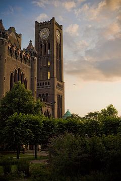 Cathedral of Saint Bavo at sunset