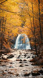 Herbstwald Josefsthaler Wasserfall von SusaZoom