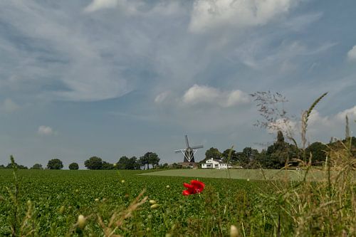 Molen Op de Vrouwenheide