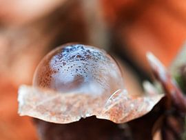 In der Zeit eingefroren  von Lex Schulte