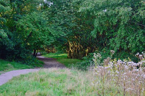 De natuur in