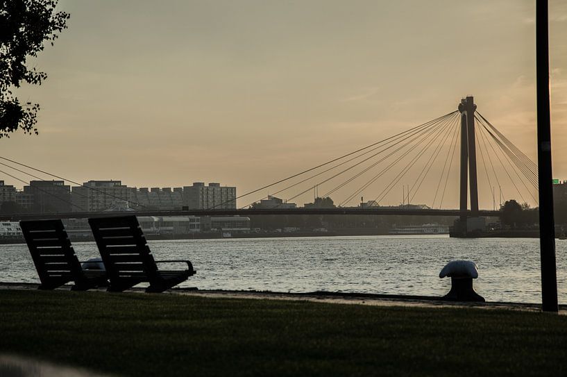 Rotterdam aan de maas 2 by Oguzhan Beyaztas