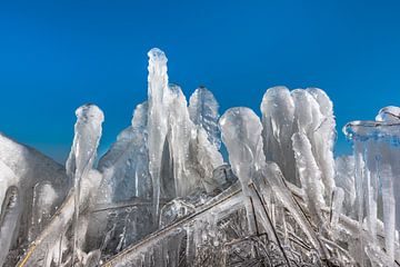 Ice sculpture by Rinus Lasschuyt Fotografie