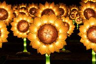 Sonnenblumen von Van Gogh von Jasper Scheffers Miniaturansicht