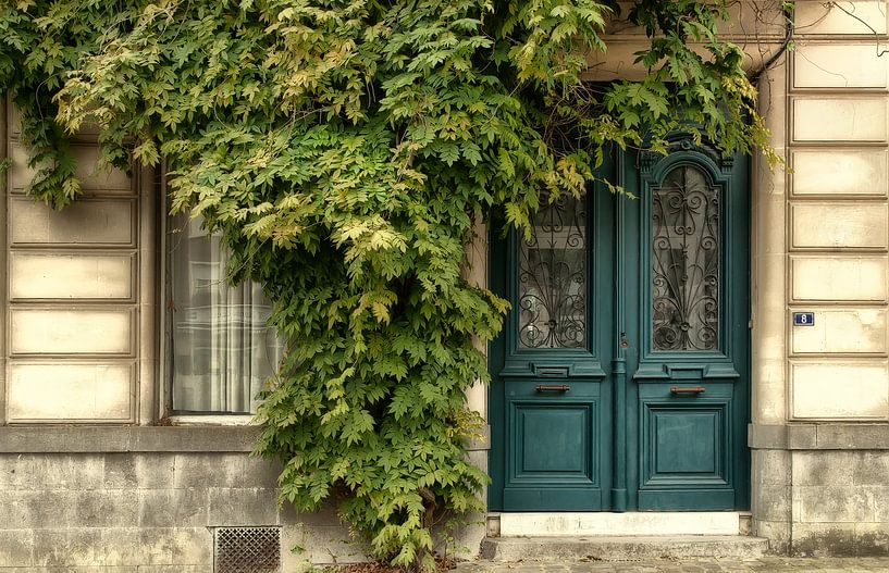 Die Tür im Grünen... von Ellen Driesse