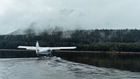 Floatplane Taking-off - Glendale Cove, British Columbia