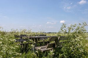 picknicken in het groen van Paul Veen