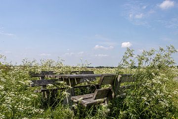 Picknick im Grünen von Paul Veen