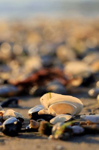 Baltic Sea at sunrise