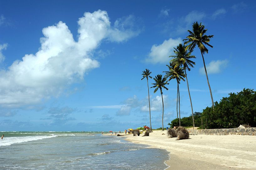 Porto de Galinhas Brazil by Richard Wareham