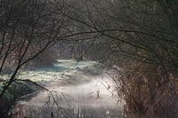 Small Dommel in morning mist 2