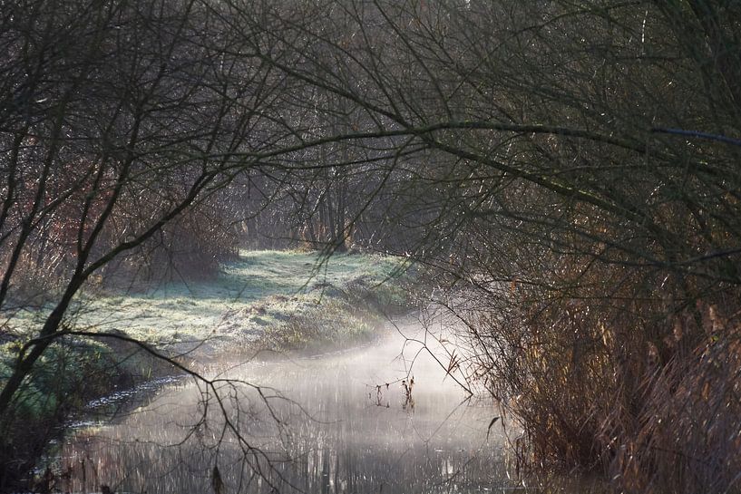Small Dommel in morning mist 2 by Dorien van Witteveen