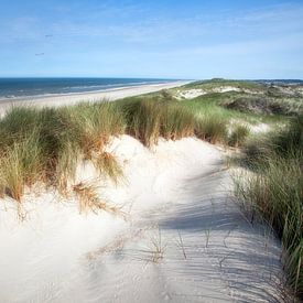 The sea dune in Egmond aan Zee by Fotografie Egmond