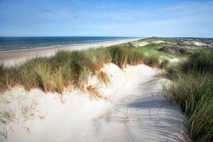 Die Seedüne in Egmond aan Zee
