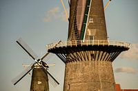 Schiedam - Molen de Vrijheid en de Noord