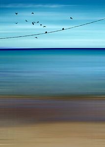 CRETAN SEA & BIRDS II v2